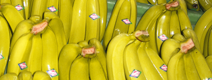 Banafair Bananen